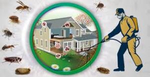 شركه مكافحه حشرات ورش مبيدات
