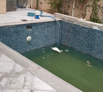 هل فحص تسربات المسبح كافٍ أم تحتاج إلى صيانة شاملة؟